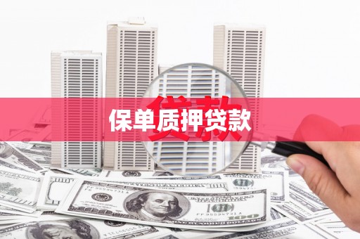 连云保单质押贷款