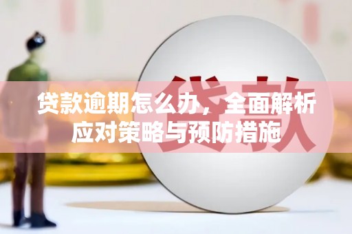 连云贷款逾期怎么办，全面解析应对策略与预防措施