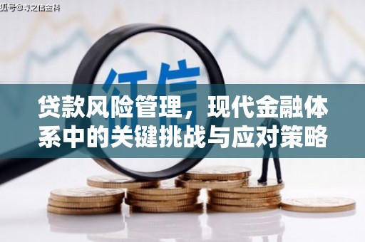 连云贷款风险管理，现代金融体系中的关键挑战与应对策略