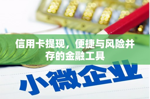 连云信用卡提现，便捷与风险并存的金融工具