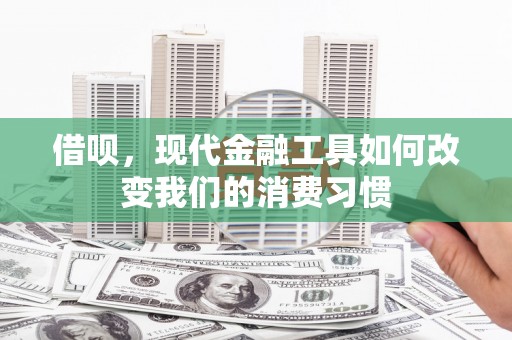 连云借呗，现代金融工具如何改变我们的消费习惯
