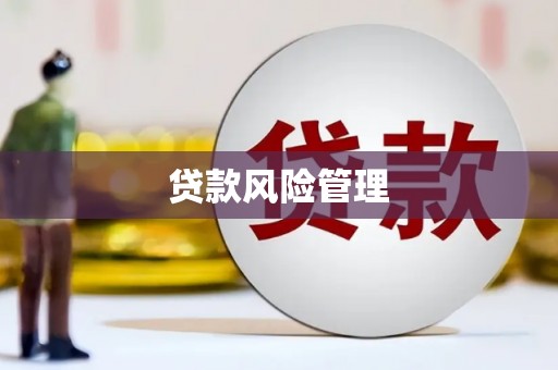 连云贷款风险管理