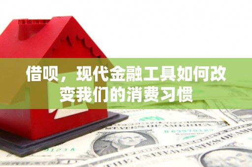 连云借呗，现代金融工具如何改变我们的消费习惯