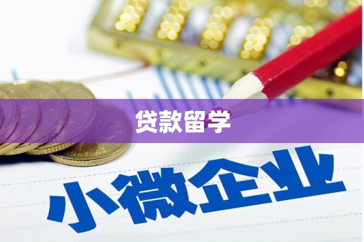 连云贷款留学
