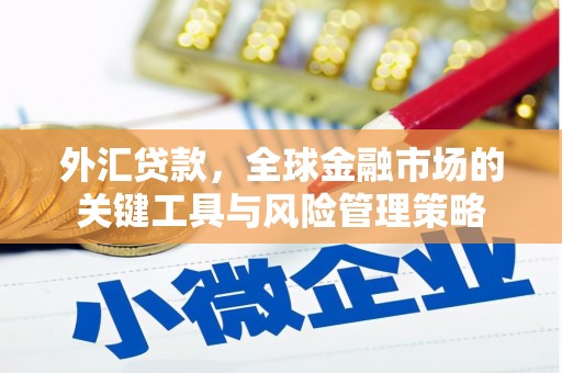 连云外汇贷款，全球金融市场的关键工具与风险管理策略