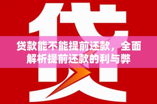 连云贷款能不能提前还款，全面解析提前还款的利与弊