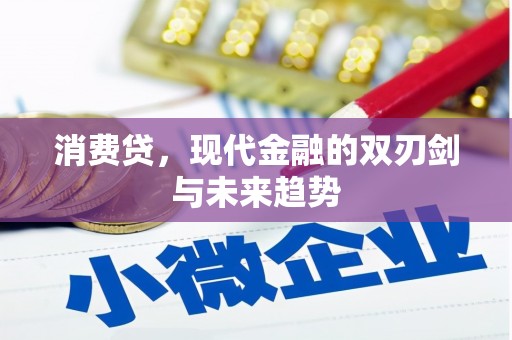 连云消费贷，现代金融的双刃剑与未来趋势