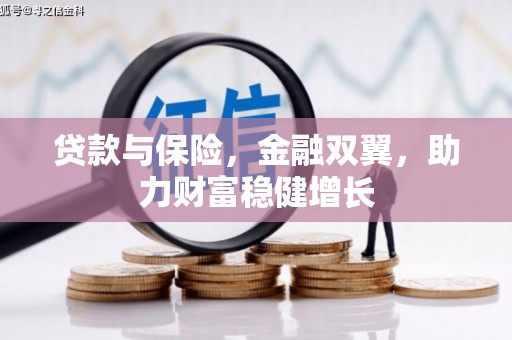 连云贷款与保险，金融双翼，助力财富稳健增长