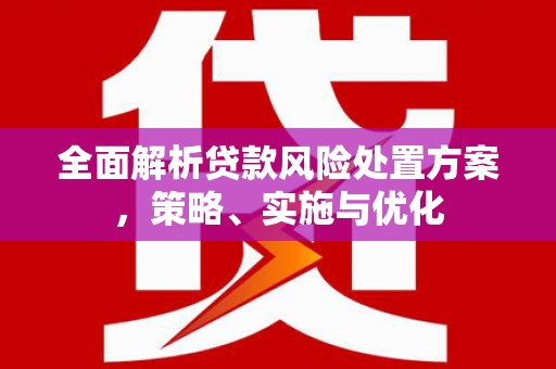 连云全面解析贷款风险处置方案，策略、实施与优化