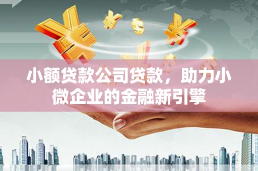 连云小额贷款公司贷款，助力小微企业的金融新引擎
