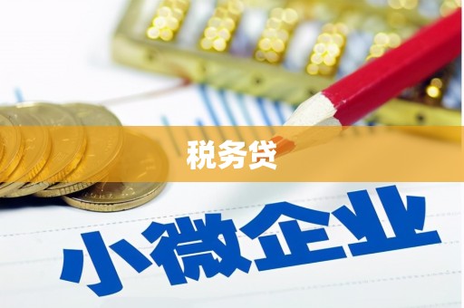 连云税务贷