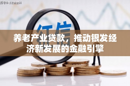 连云养老产业贷款，推动银发经济新发展的金融引擎