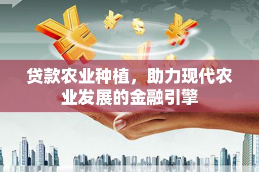 连云贷款农业种植，助力现代农业发展的金融引擎