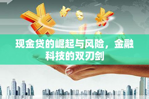连云现金贷的崛起与风险，金融科技的双刃剑