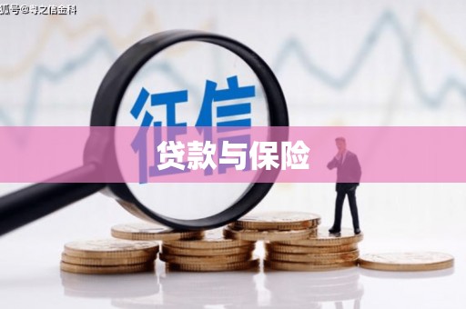 连云贷款与保险