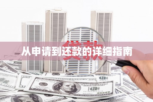 连云从申请到还款的详细指南