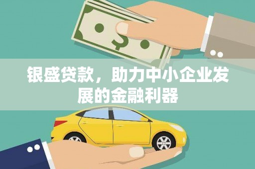 连云银盛贷款，助力中小企业发展的金融利器