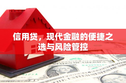 连云信用贷，现代金融的便捷之选与风险管控