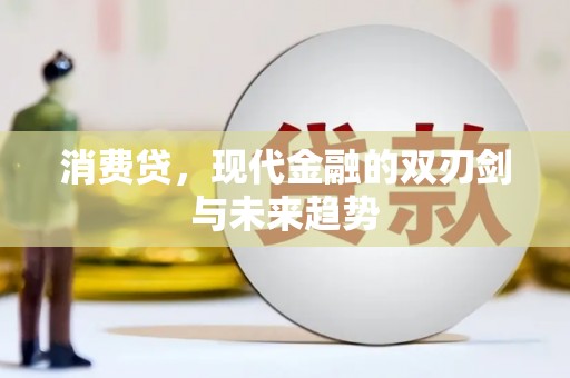 连云消费贷，现代金融的双刃剑与未来趋势