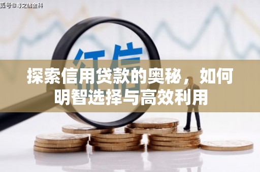 连云探索信用贷款的奥秘，如何明智选择与高效利用