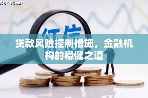 连云贷款风险控制措施，金融机构的稳健之道