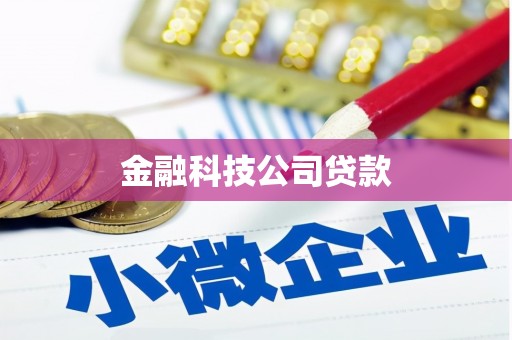 连云金融科技公司贷款