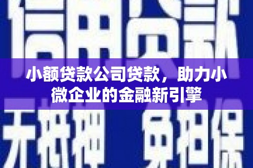 连云小额贷款公司贷款，助力小微企业的金融新引擎