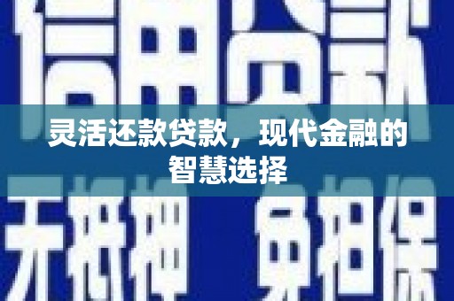 连云灵活还款贷款，现代金融的智慧选择