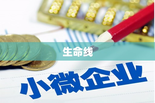 连云生命线