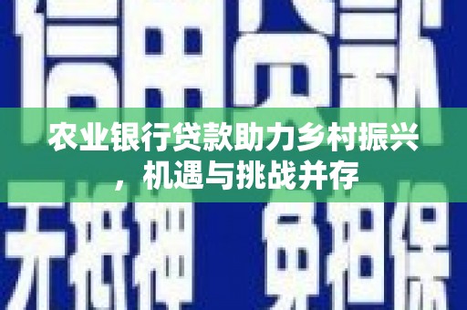 连云农业银行贷款助力乡村振兴，机遇与挑战并存