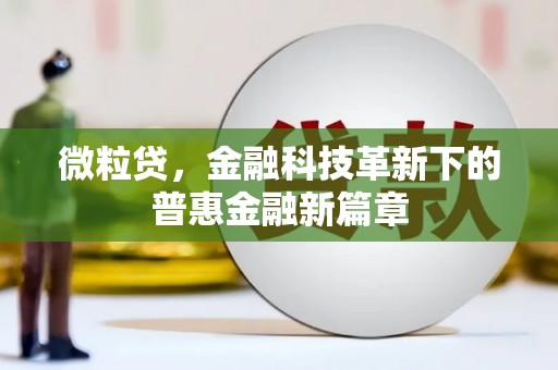 连云微粒贷，金融科技革新下的普惠金融新篇章