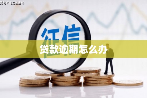 连云贷款逾期怎么办