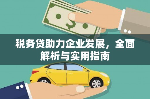 连云税务贷助力企业发展，全面解析与实用指南