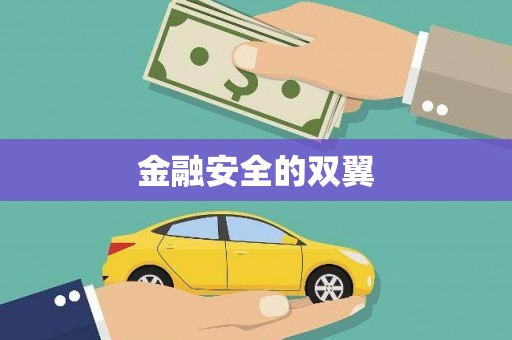 连云金融安全的双翼