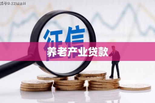 连云养老产业贷款