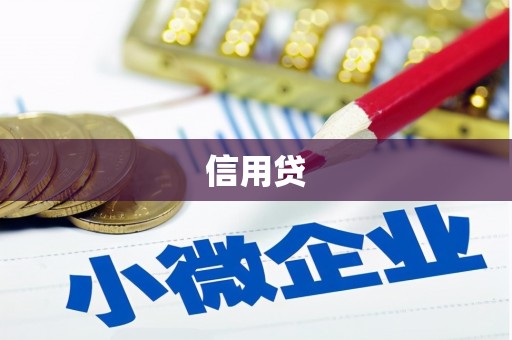 连云信用贷