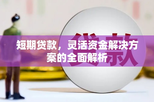 连云短期贷款，灵活资金解决方案的全面解析