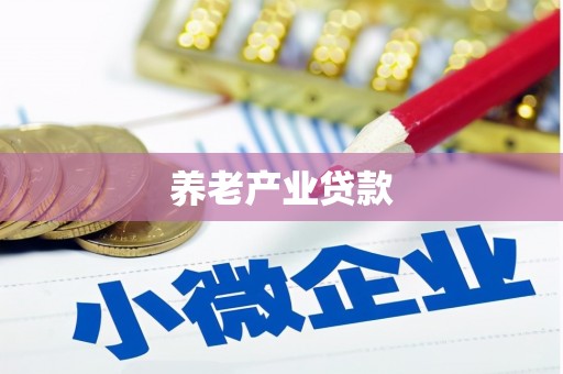连云养老产业贷款