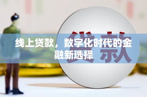 连云线上贷款，数字化时代的金融新选择