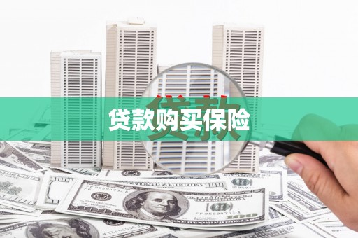 连云贷款购买保险