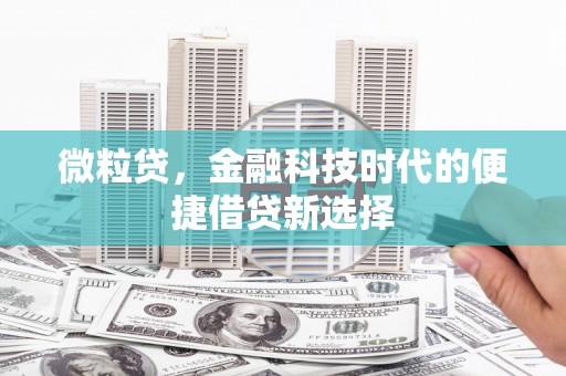 连云微粒贷，金融科技时代的便捷借贷新选择