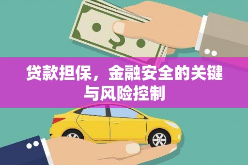 连云贷款担保，金融安全的关键与风险控制
