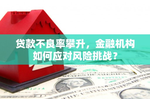 连云贷款不良率攀升，金融机构如何应对风险挑战？
