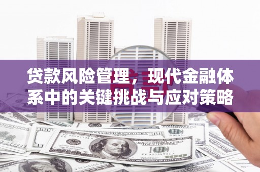 连云贷款风险管理，现代金融体系中的关键挑战与应对策略