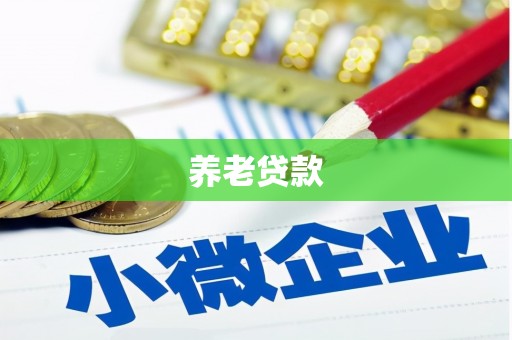 连云养老贷款