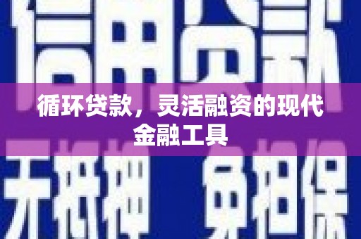 连云循环贷款，灵活融资的现代金融工具