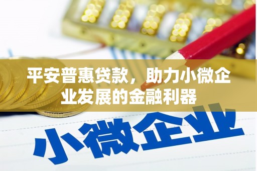 连云平安普惠贷款，助力小微企业发展的金融利器
