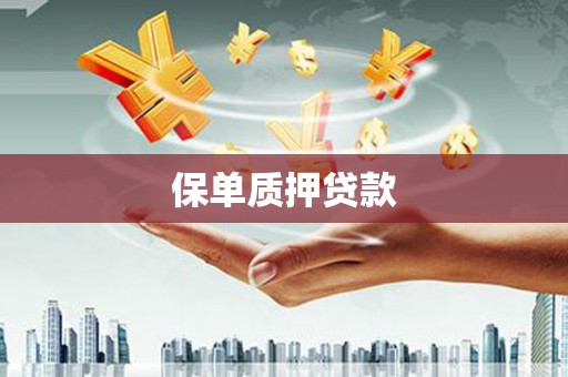 连云保单质押贷款
