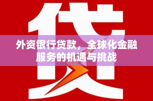 连云外资银行贷款，全球化金融服务的机遇与挑战