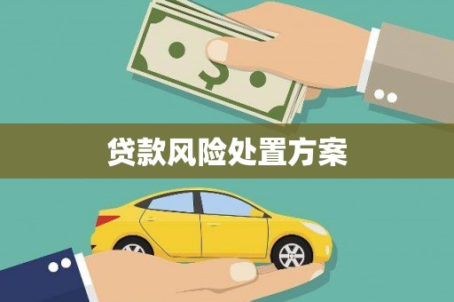 连云贷款风险处置方案